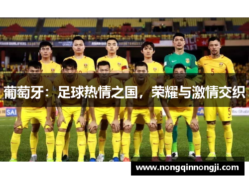 葡萄牙：足球热情之国，荣耀与激情交织