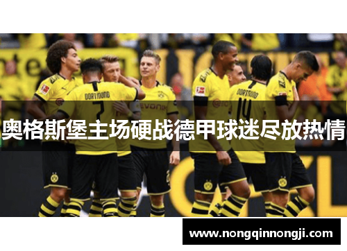 奥格斯堡主场硬战德甲球迷尽放热情